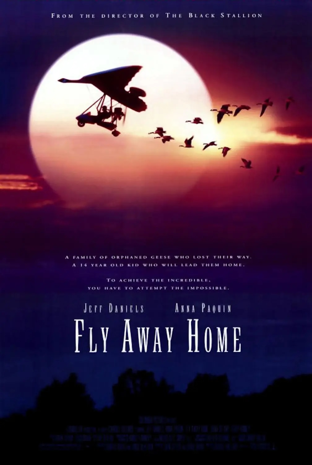 伴你高飞：Fly Away Home